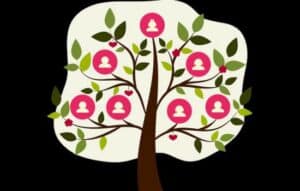Crea tu árbol genealógico y descubre tus orígenes