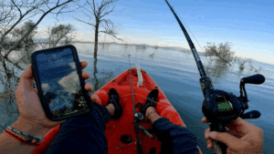 Pesca Maestra: App Sonar Definitivo