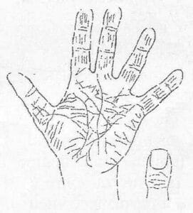 Descubre tu Futuro con Lectura de Palma Digital